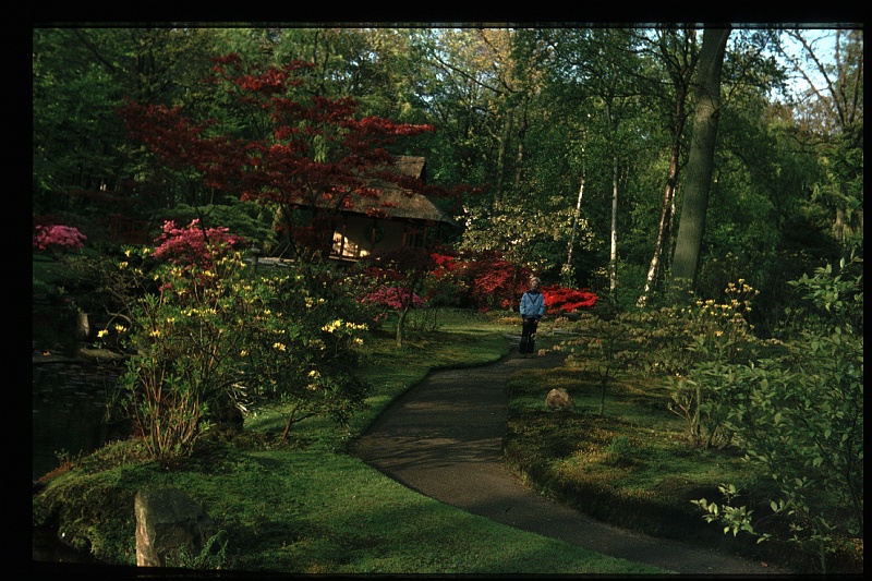 26.JapanseTuin jun 1974 Peter.JPG